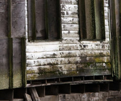 Mold Remediation