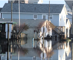 Water / Flood Restoration